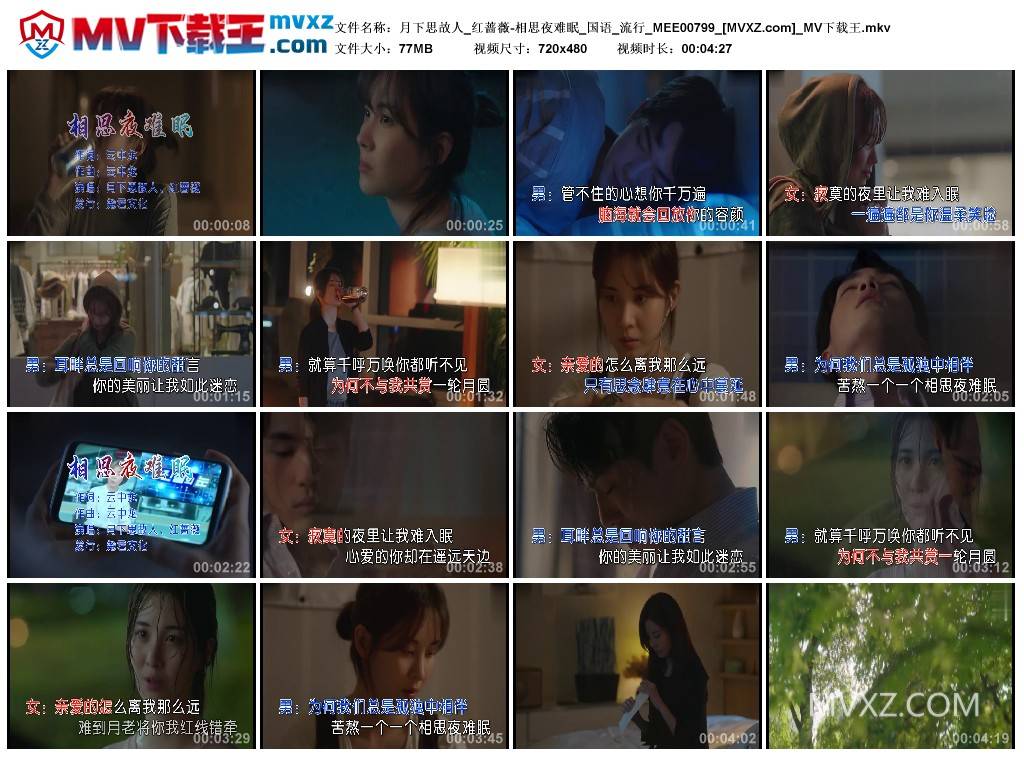 月下思故人_红蔷薇-相思夜难眠_国语_流行_MEE00799
